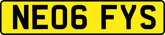 NE06FYS