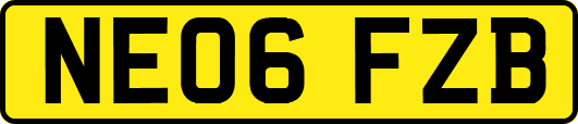 NE06FZB