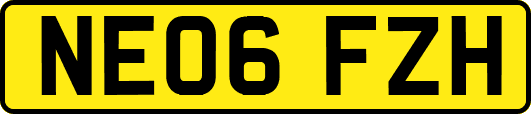 NE06FZH
