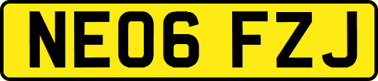 NE06FZJ