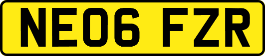 NE06FZR