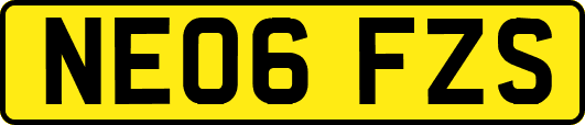 NE06FZS