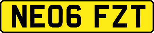 NE06FZT