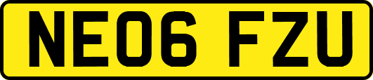 NE06FZU