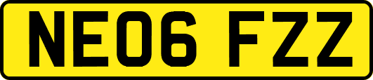 NE06FZZ