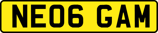 NE06GAM