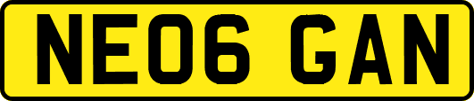 NE06GAN