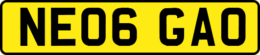 NE06GAO
