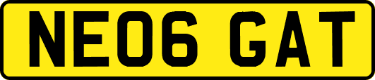 NE06GAT