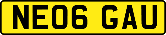 NE06GAU