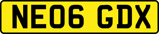 NE06GDX