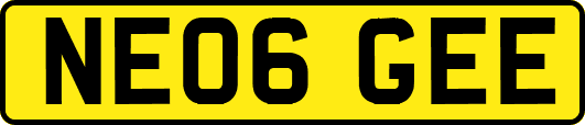 NE06GEE