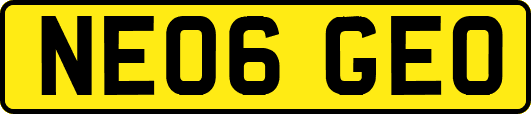 NE06GEO