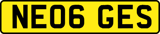 NE06GES