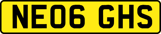NE06GHS