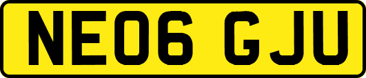 NE06GJU