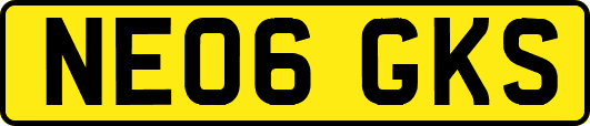 NE06GKS