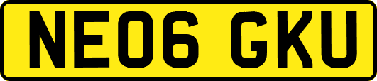 NE06GKU