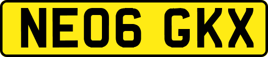NE06GKX