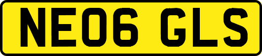 NE06GLS
