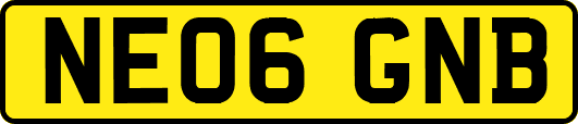 NE06GNB