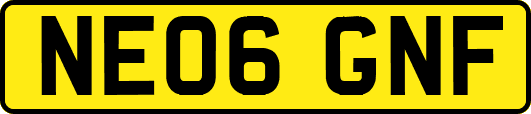 NE06GNF