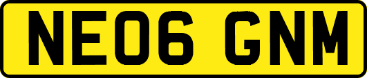 NE06GNM