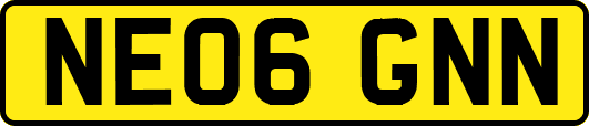 NE06GNN