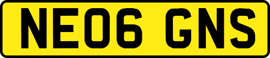 NE06GNS