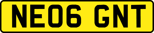 NE06GNT