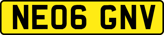 NE06GNV