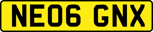 NE06GNX