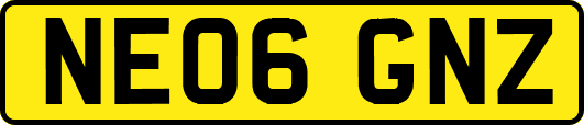 NE06GNZ