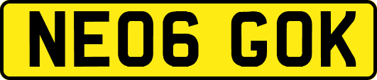 NE06GOK