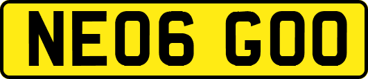 NE06GOO