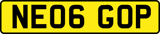 NE06GOP