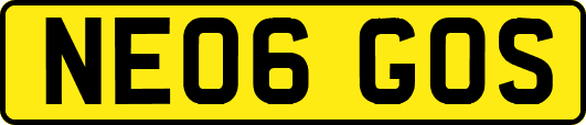 NE06GOS
