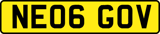 NE06GOV