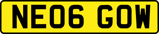 NE06GOW