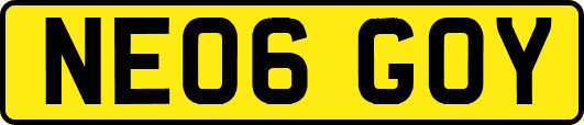 NE06GOY