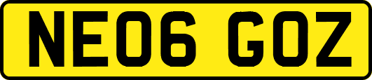 NE06GOZ