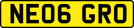 NE06GRO