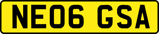 NE06GSA