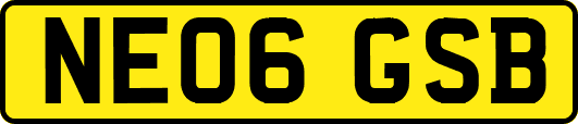 NE06GSB
