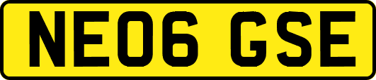 NE06GSE
