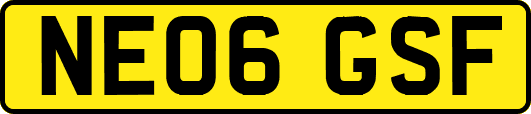 NE06GSF