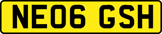 NE06GSH