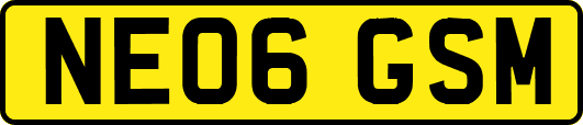 NE06GSM