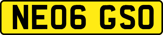 NE06GSO
