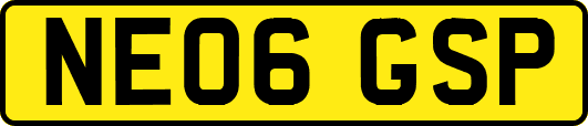 NE06GSP
